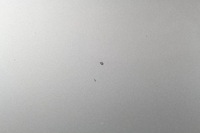 фото thumb №12, Капот крышка двигателя audi a3 8p 03-04 малый решётка радиатора