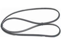 фото thumb №1, Ремень многоручьевой dacia sandero i 1.6 10-13