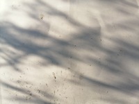 фото thumb №8, Капот vectra c lift з wygłuszeniem