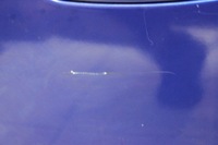 фото thumb №7, Fiat grande punto 3d 05r- дверь правое передние правый перед 599/a