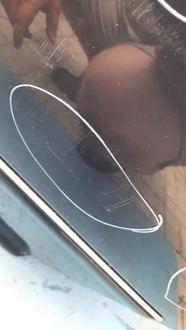 фото thumb №8, Дверь задняя задние левая vw bora 00r kombi