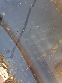 фото thumb №8, Бампер зад audi a3 5d sportback 8p4807511