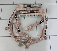 фото thumb №1, Rav4 ii 00-05 3d шторка безпеки подушка безпеки ліва #