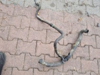 фото thumb №1, Пабтрубок  труба воды renault mascott 3.0 dci