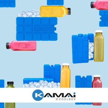 Морозильная вставка для дорожных холодильников 200гр КАМАИ