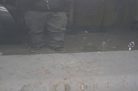 фото thumb №14, Dacia sandero ii дверь левый перед nv676 d1828