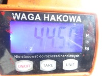 Балка задняя audi a4 8d2, b5 sedan Киев, фото thumb