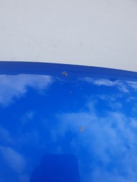 фото thumb №7, Subaru impreza iii gh 07-11 капот крышка двигателя перед передняя