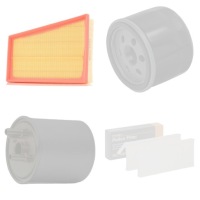 Ridex набор фильтров do renault kangoo express fw0/1 Цена, фото thumb