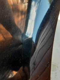 фото thumb №12, Крыло правое перед citroen c5 iii x7 08-18 ktvd