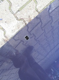 фото thumb №6, Ford fiesta 95-99 капот кришка двигуна c307