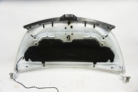 фото thumb №10, Капот крышка двигатель renault trafic iii рестайлинг ov369