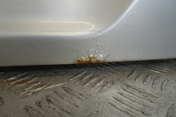 фото thumb №11, Vw passat b7 универсал - крышка задняя