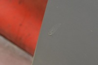 фото thumb №7, Двері праве перед передні t8g hundai i20 1 i 5d hb lift 12-14