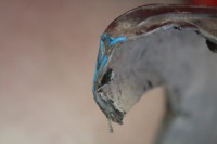 Бампер перед передний szary pdc toyota land cruiser j120 02-09 с Разборки, фото thumb