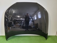 фото thumb №1, Audi a4 b9 8w 8w0 капот кришка двигуна