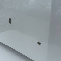 фото thumb №7, Kia sorento iv 20-24 капот крышка двигателя