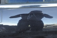 фото thumb №7, Ford fiesta mk8 дверь левый перед левая 3d 3 дверь