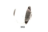 фото thumb №1, Japko gojk43 підшипниковий вузол, важіль