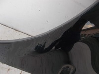 фото thumb №5, Крыло перед передний левый smart fortwo 453