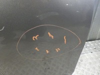 фото thumb №5, Дверь правый задняя задние правое toyota auris 2 ii