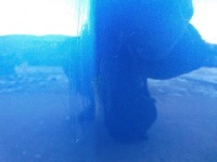 Капот ригель seat leon 3 5f niebieska lw5p оригинал Недорого, фото thumb