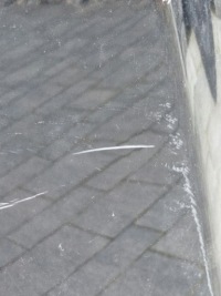 фото thumb №4, Mercedes ml 166 w166 a166 капот решітка