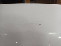 фото thumb №11, Бампер задняя lexus is ii 077