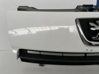 фото thumb №10, Решётка решётка перед peugeot expert 2 ii 1497644077
