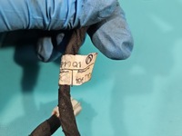 фото thumb №9, Джгут бампера задня mercedes w212 a2125420018 0263003616 електропроводка pdc