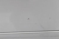 фото thumb №6, Двері правий задня audi a4 b7 04-08r ly73 sedan