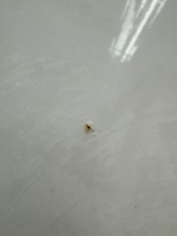 фото thumb №13, Двері праві перед vw golf vii 7 5g 2012- lc9a