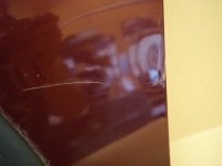 фото thumb №3, Крыло левый передний mini r50