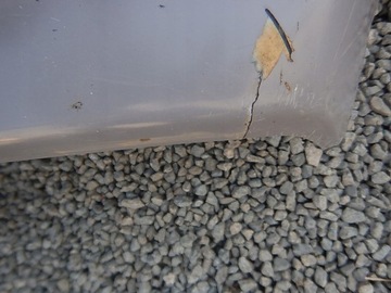 фото thumb №7, Mercedes w126 s клас 126 бампер перед переднє