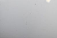 фото thumb №10, Зеркало левая белый eu ford kuga mk1 1 i 08-13 8 pin