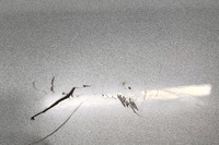 фото thumb №7, Audi a3 sportback 8y задняя крышка багажника багажника спойлер 8y4827933a 2023 25684035