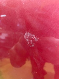 Citroen c4 1 picasso капот в Украине, фото thumb