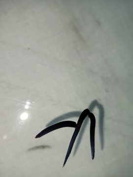 фото thumb №5, Скло передня bmw e83 x3 2003-2010 датчик подряпини od двірники