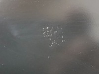 фото thumb №10, Капот dacia duster ii 2 18- нова оригінальна