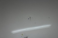 фото thumb №4, Капот кришка двигуна volvo s40 ii 04-07r 426