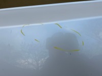 Lexus rx iv 4 15-22r дверь правое  задняя правый  задняя Доставка, фото thumb