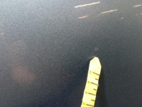 фото thumb №8, Skoda octavia ii kombi двері задня ліва задні lf5x