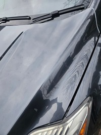 фото thumb №6, Капот крышка двигателя ford kuga mk1 h8 przedlift