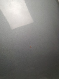 фото thumb №2, Капот chevrolet tahoe ii