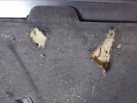 Капот audi a4 s4 b8 8k перед ly9b Оригінал, фото thumb