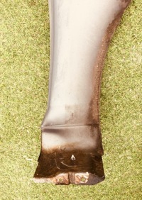 фото thumb №11, Mazda 6 iii 3 gj крыло левый передний, перед