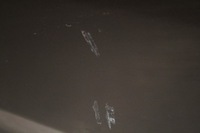 фото thumb №6, Дверь левая перед передние ciemnozielone nissan navara d40 3 iii 05-14