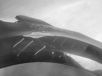 фото thumb №10, Крила передній лівий / правий перед ford ka 08-16