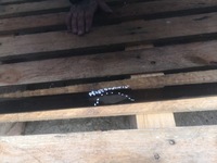 фото thumb №8, Дверь правый перед vw golf v 5 hb 5d 5 дверь l041