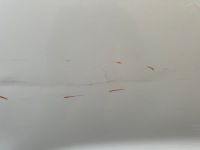 фото thumb №11, Hyundai tucson iii 3 15-20r дверь правый задняя правое